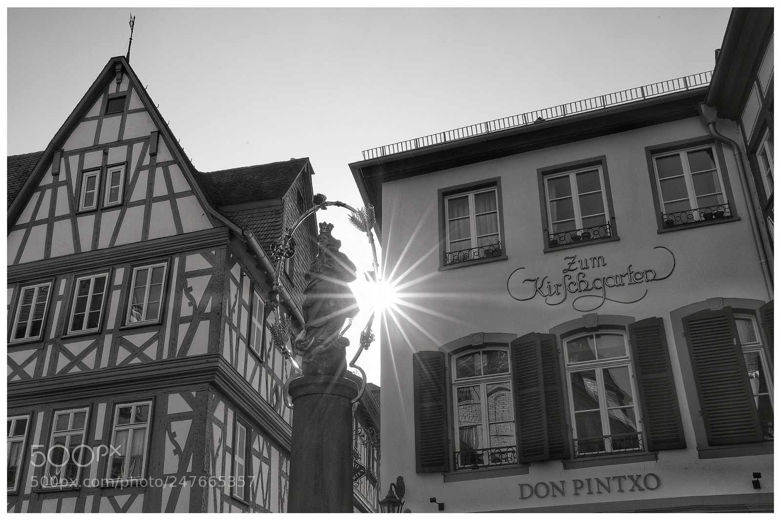 Fujifilm X-T20 sample photo. 'am kirschgarten' photography