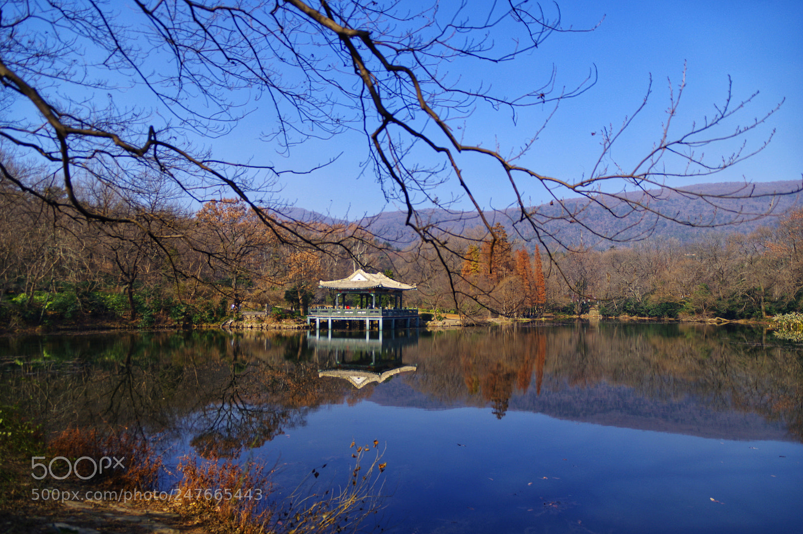 Pentax K-3 II sample photo. Untitled photography