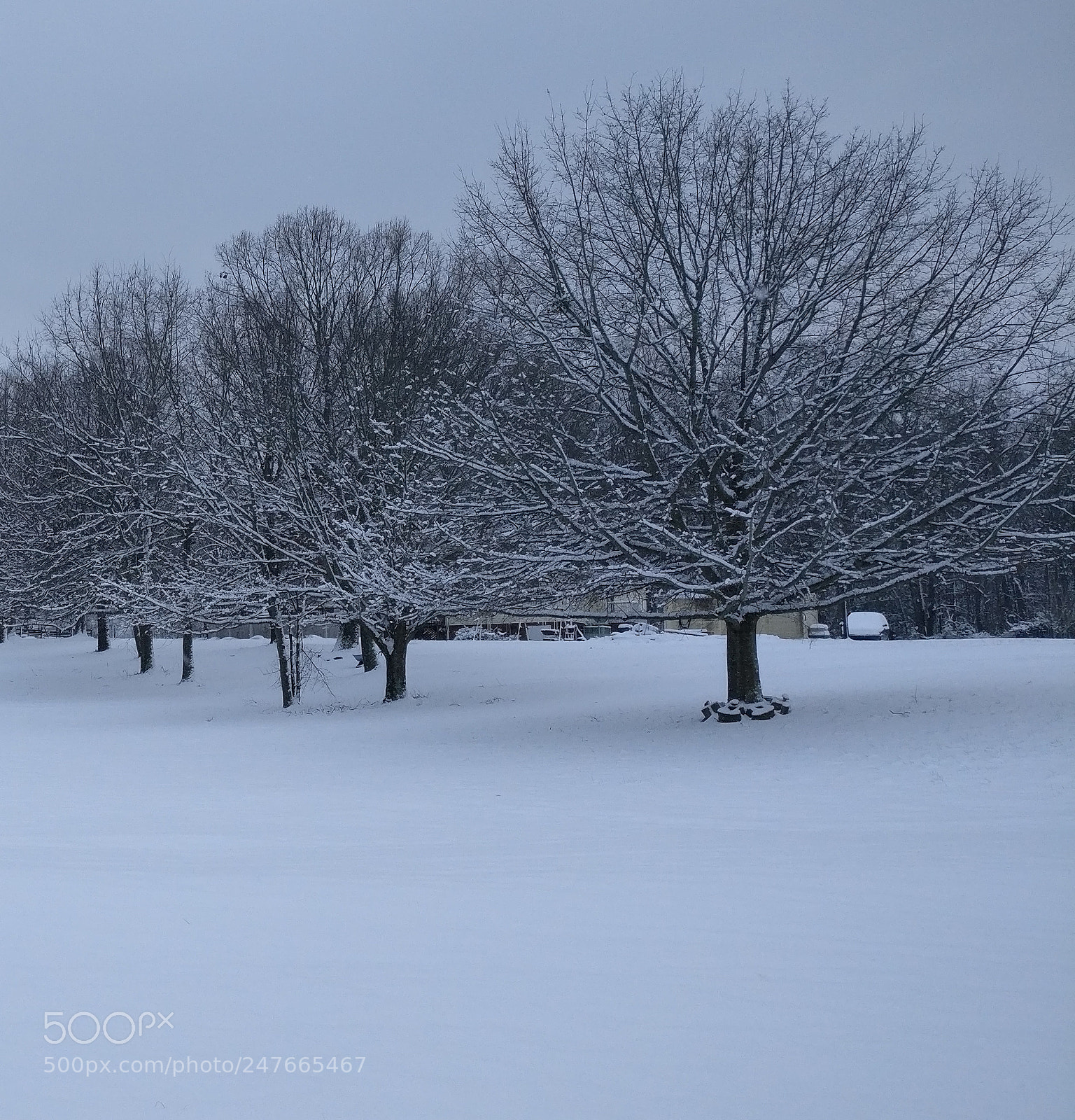 OnePlus A3000 sample photo. Winter photography