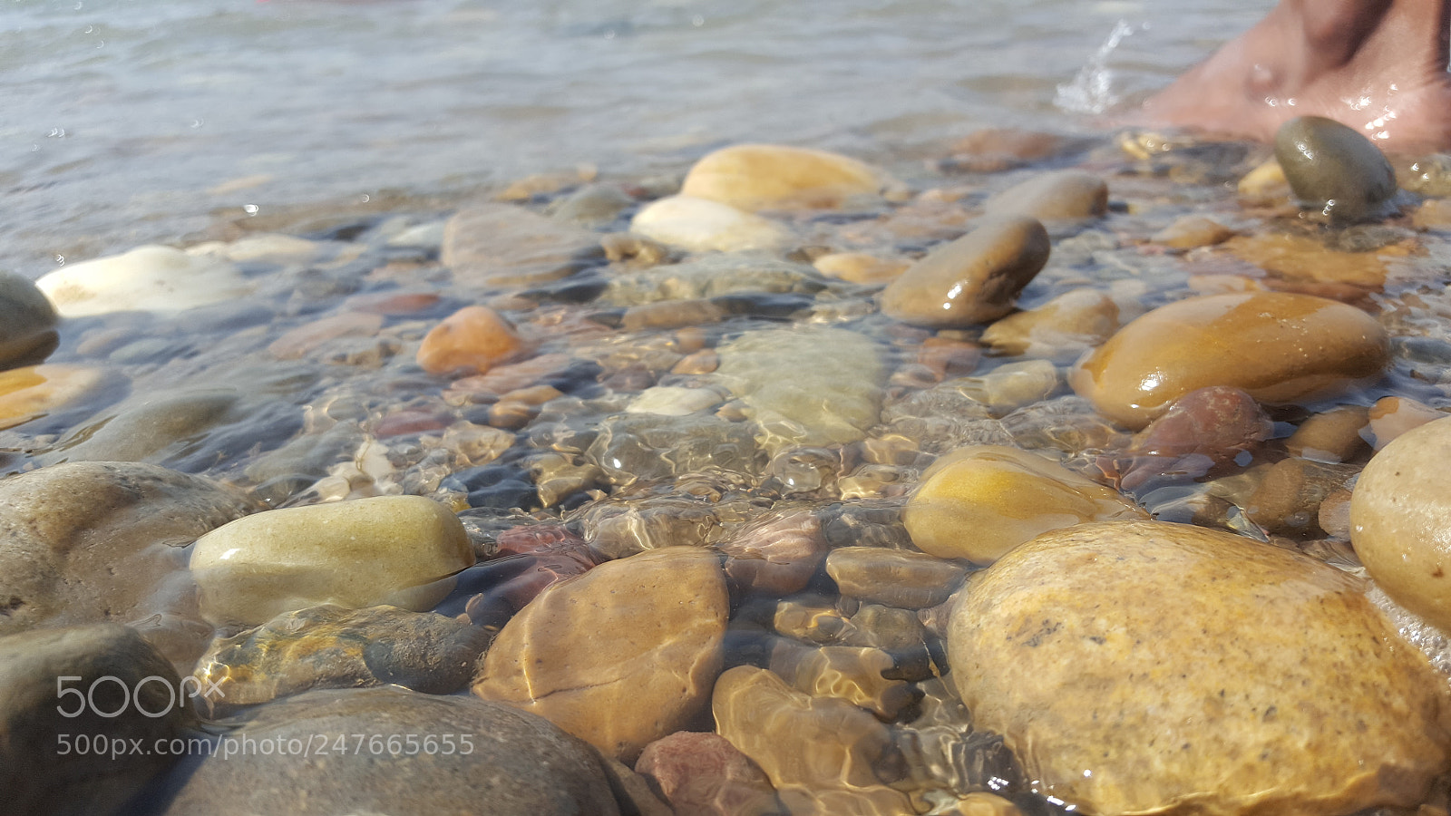 Samsung GALAXY S6 edge sample photo. Untitled photography