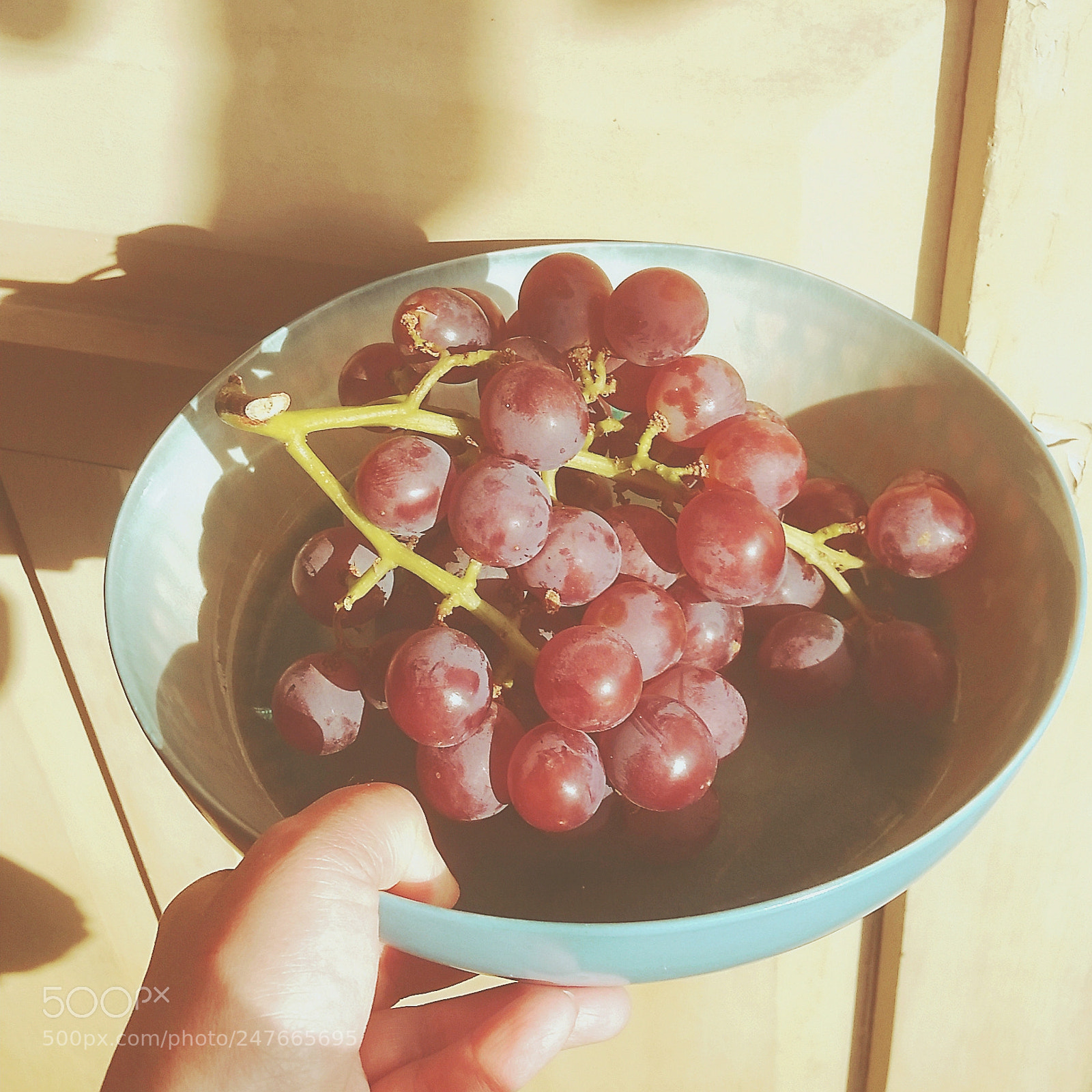 Samsung Galaxy S5 sample photo. Kyoho grape, my favorite photography