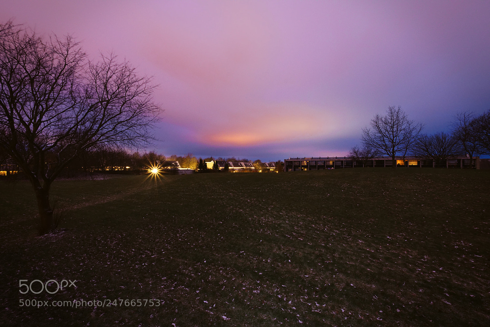 Nikon D7200 sample photo. Purple dawn photography
