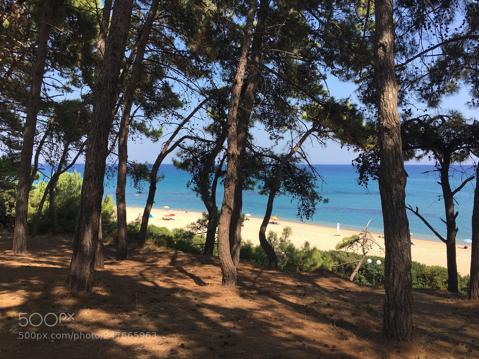 Apple iPhone 6s Plus sample photo. The beach through the photography