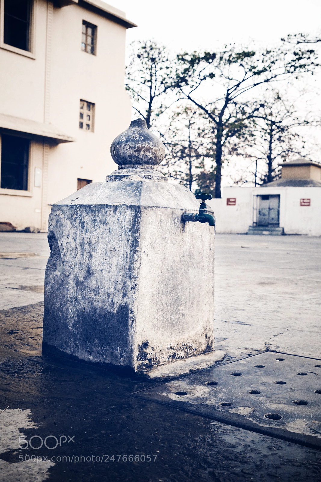 Sony a7R II sample photo. Untitled photography