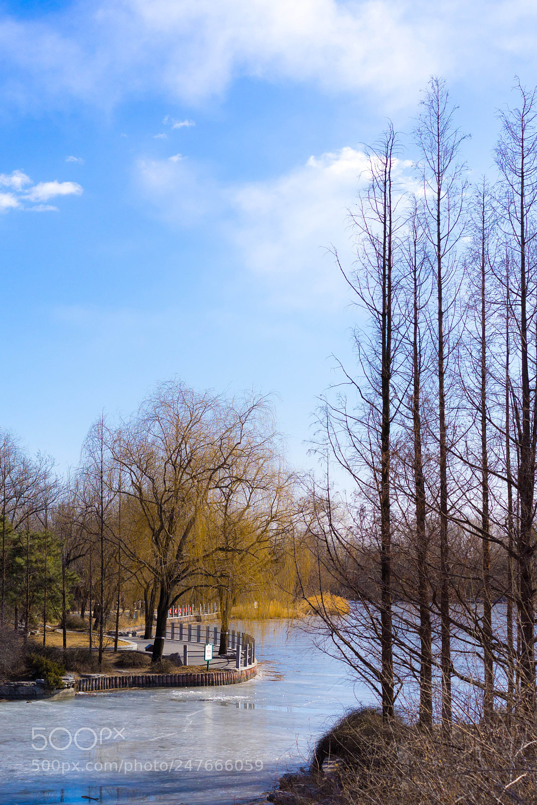 Sony a7 II sample photo. Beijing botanical garden photography