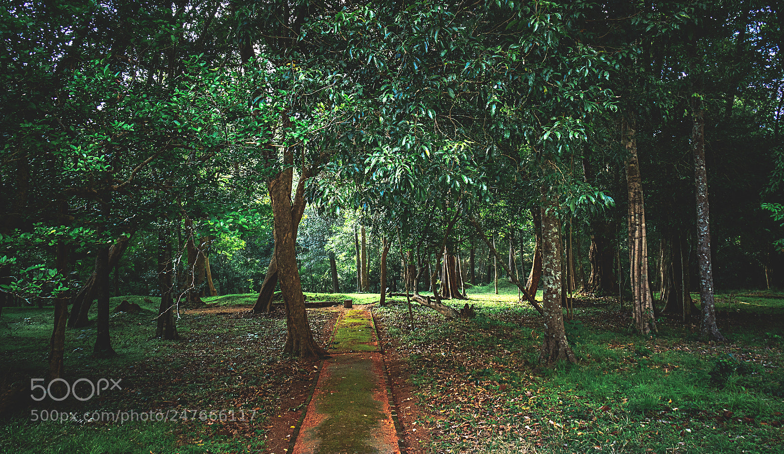 Canon EOS 600D (Rebel EOS T3i / EOS Kiss X5) sample photo. The forgotten temple #27 photography
