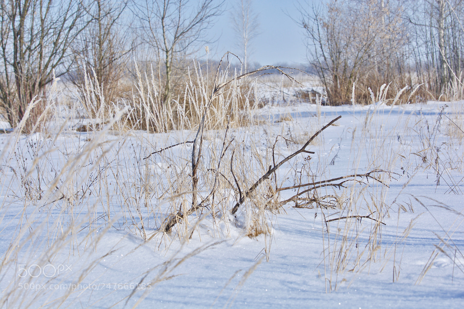 Nikon D7100 sample photo. 988_9251.jpg photography