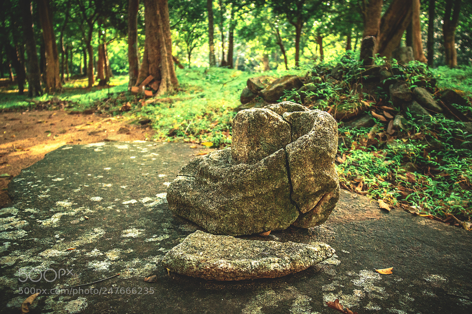 Canon EOS 600D (Rebel EOS T3i / EOS Kiss X5) sample photo. The forgotten temple #25 photography