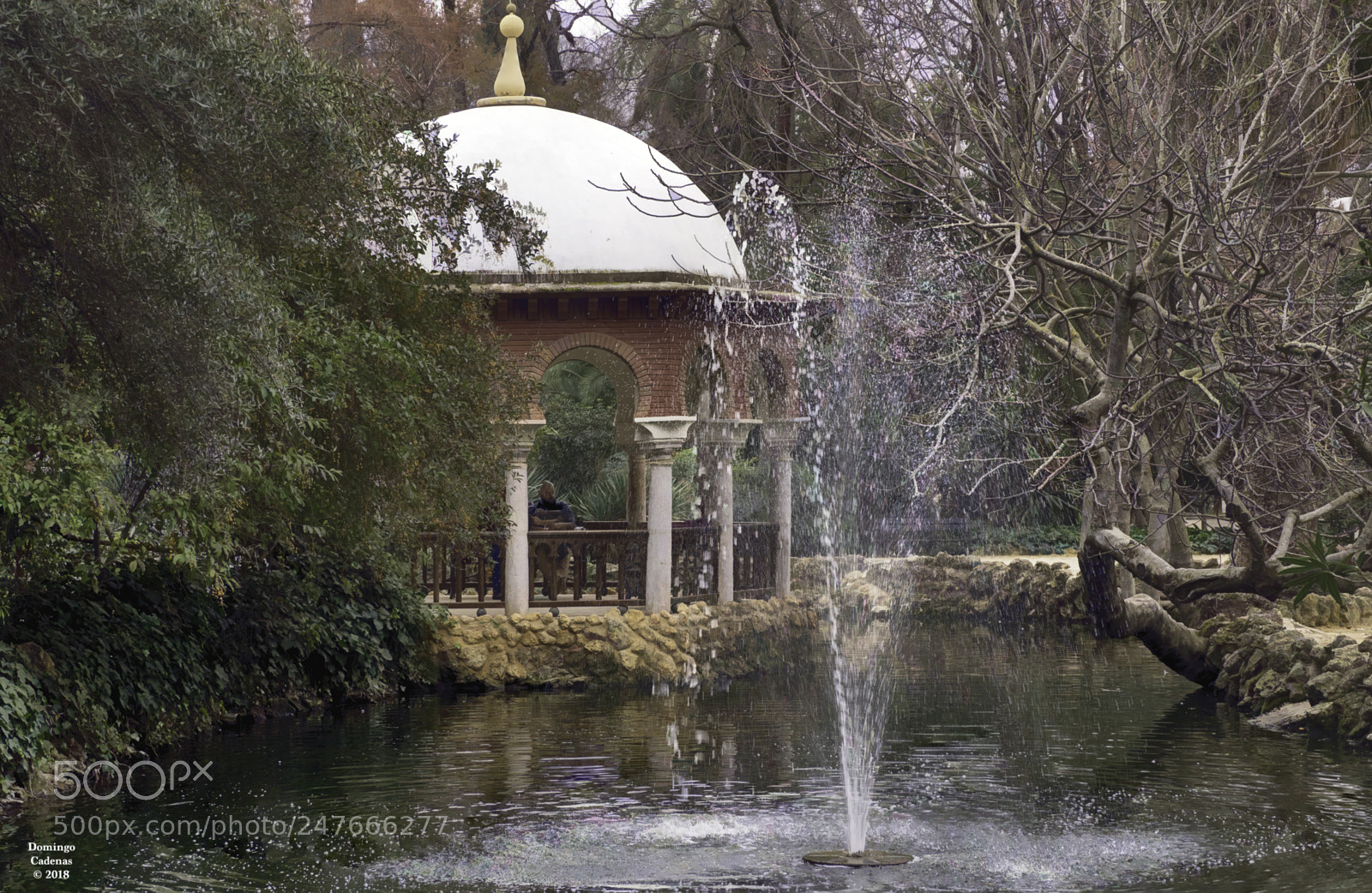 Olympus OM-D E-M10 II sample photo. El parque photography