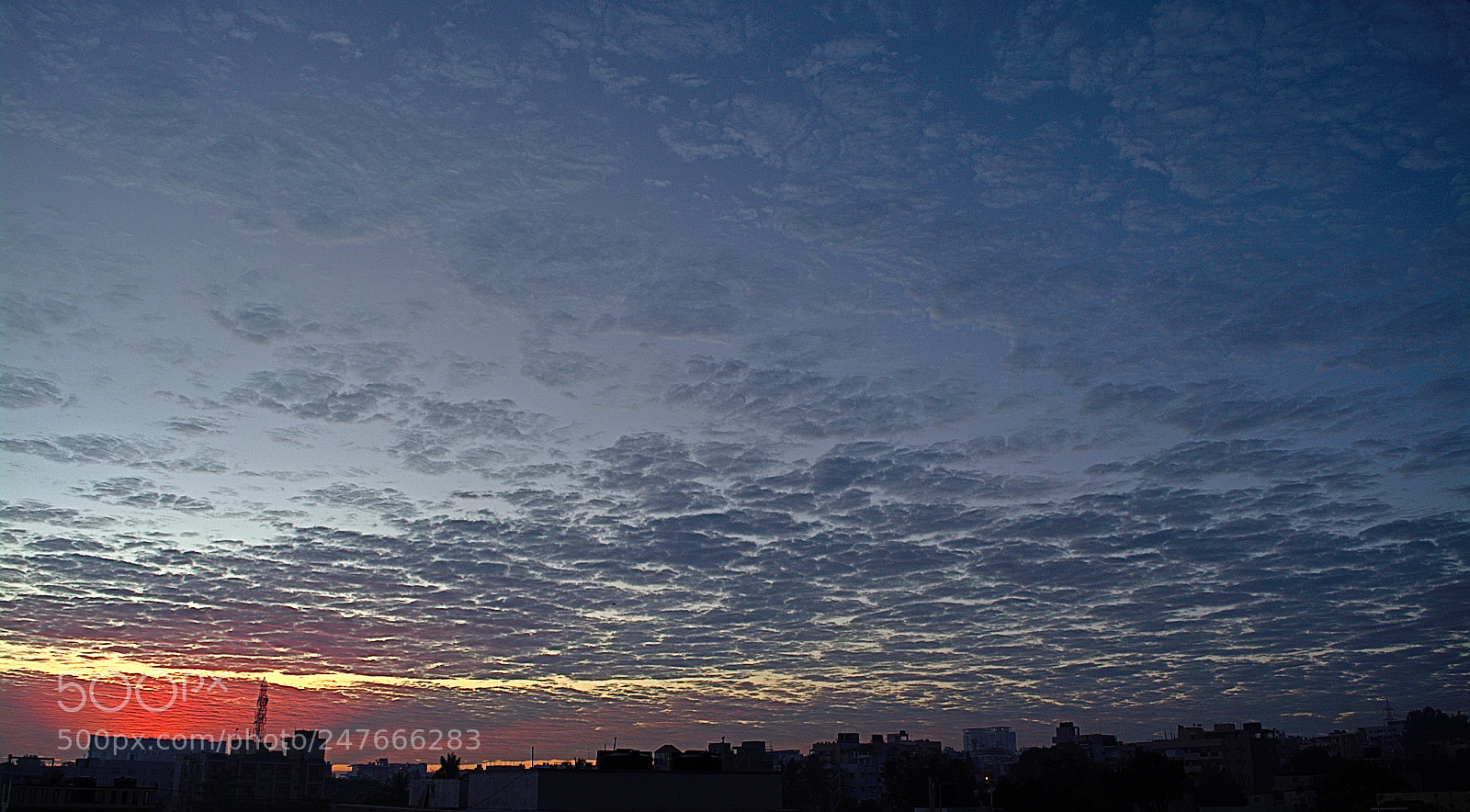 Nikon D5200 sample photo. Morning photography