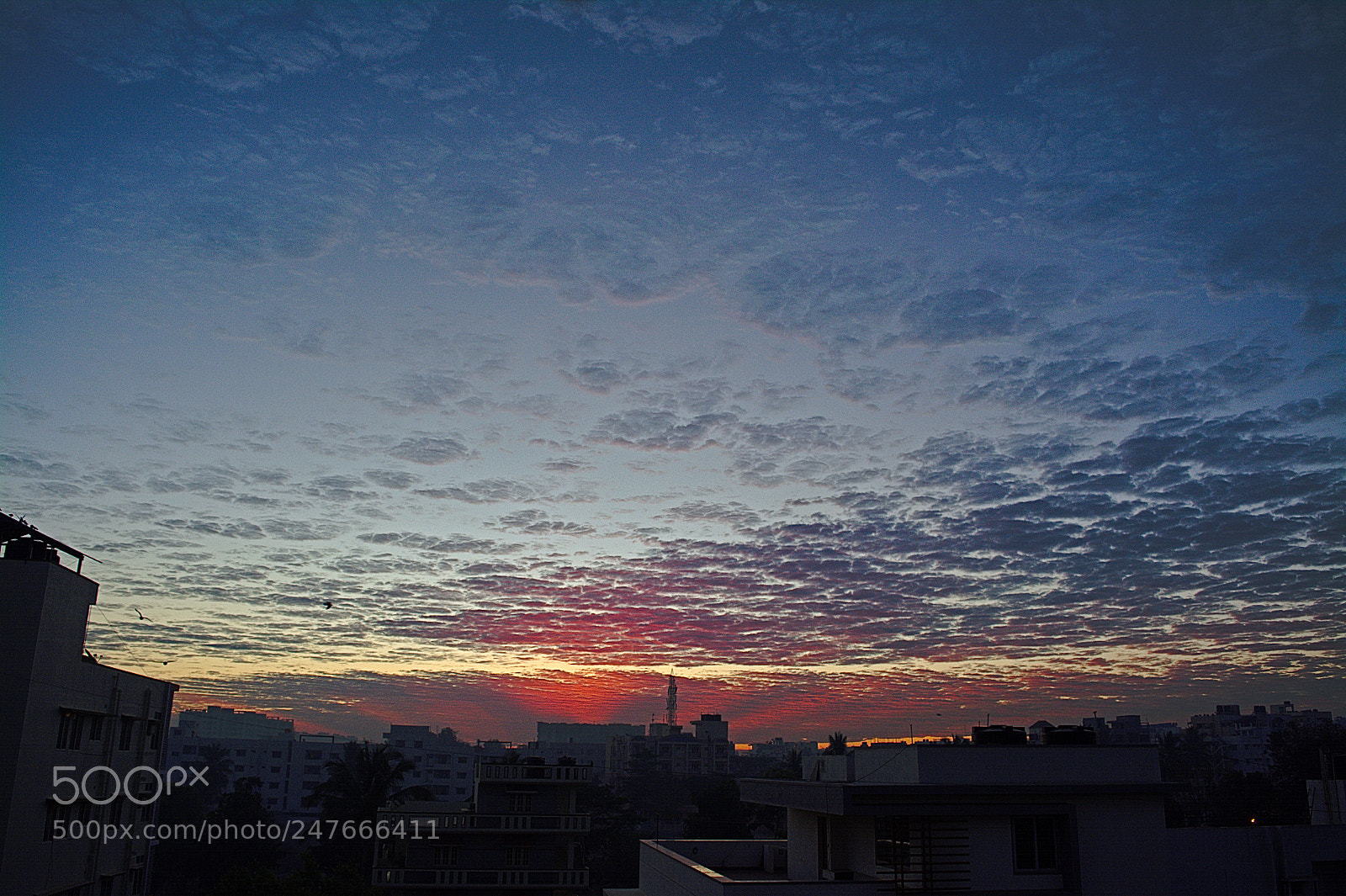 Nikon D5200 sample photo. Home photography