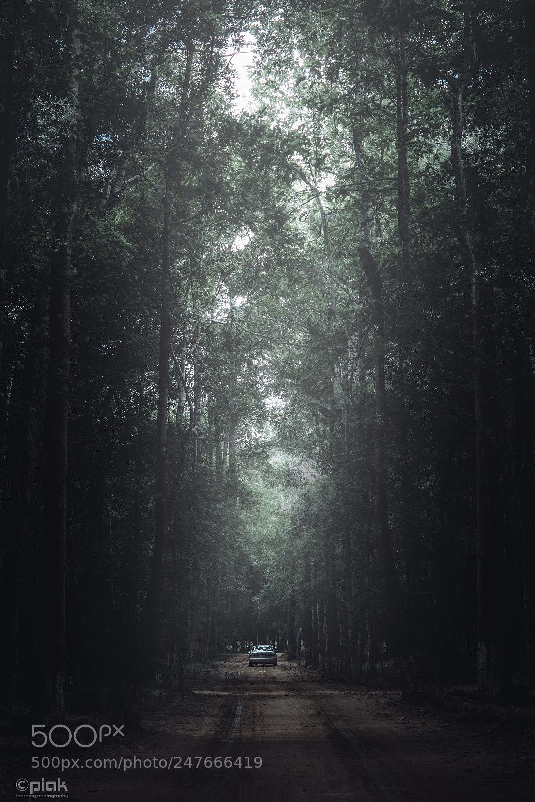 Sony a6500 sample photo. Way out of darkness photography