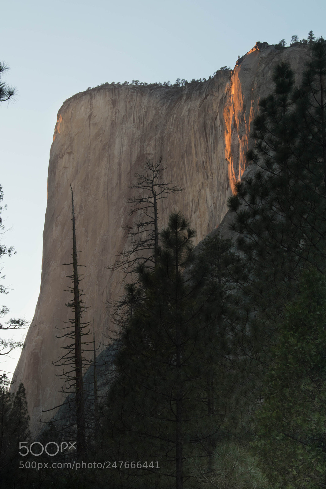 Nikon D5500 sample photo. Hillside on fire photography