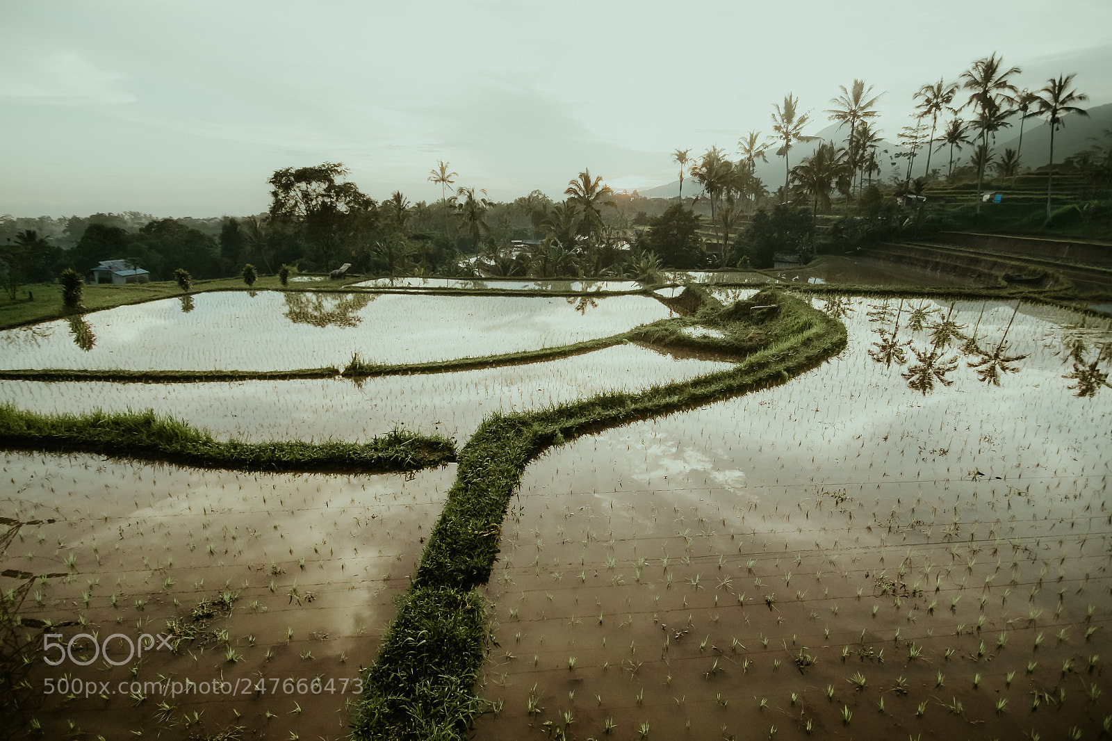 Fujifilm X-T1 sample photo. Untitled photography