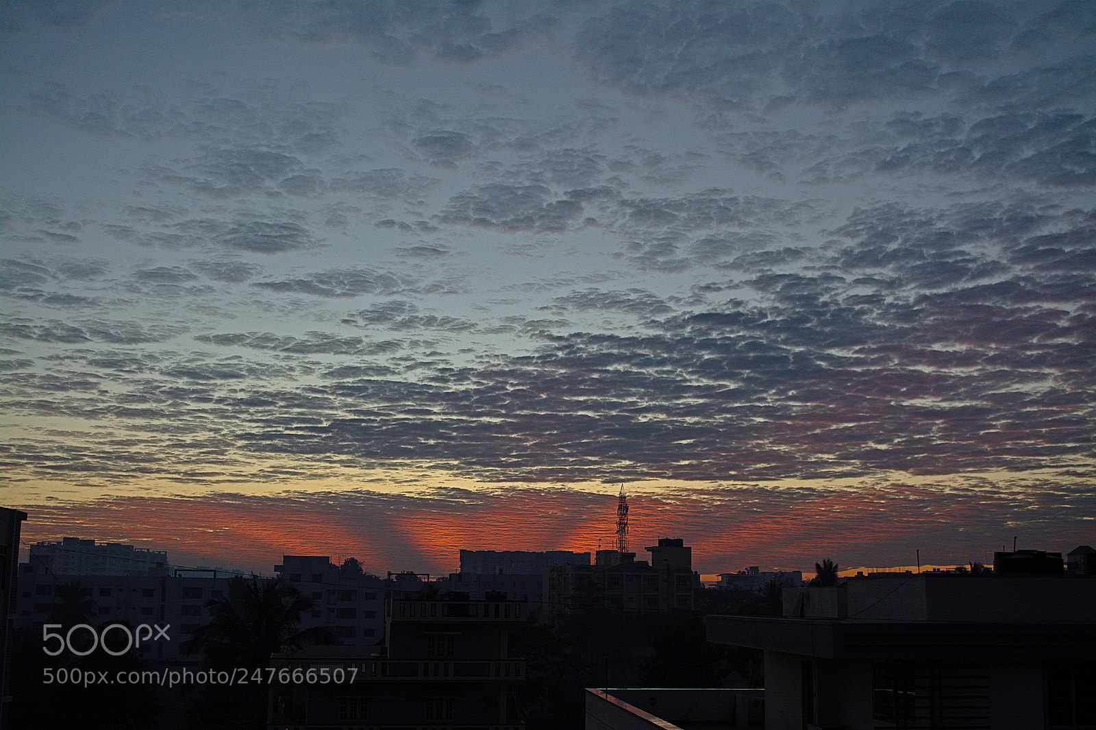 Nikon D5200 sample photo. Home photography