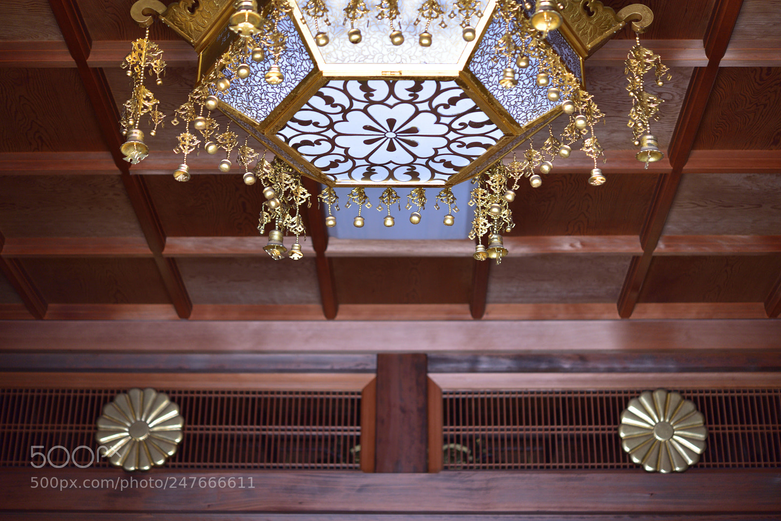 Nikon AF-S Micro-Nikkor 60mm F2.8G ED sample photo. 薬王院温泉寺　山代温泉 photography
