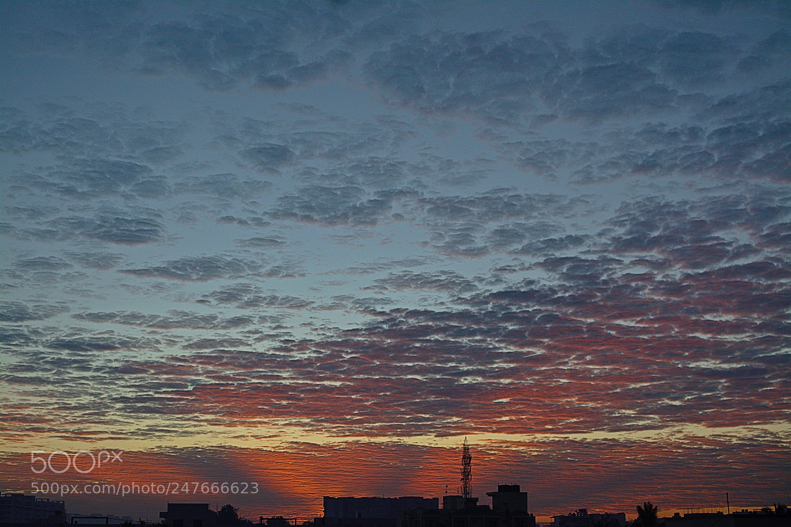 Nikon D5200 sample photo. Home photography
