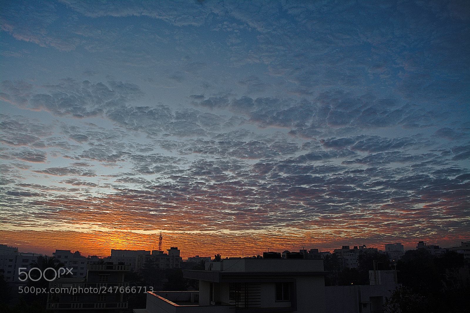 Nikon D5200 sample photo. Home photography