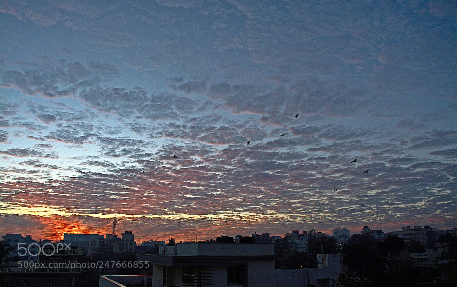 Nikon D5200 sample photo. Home photography