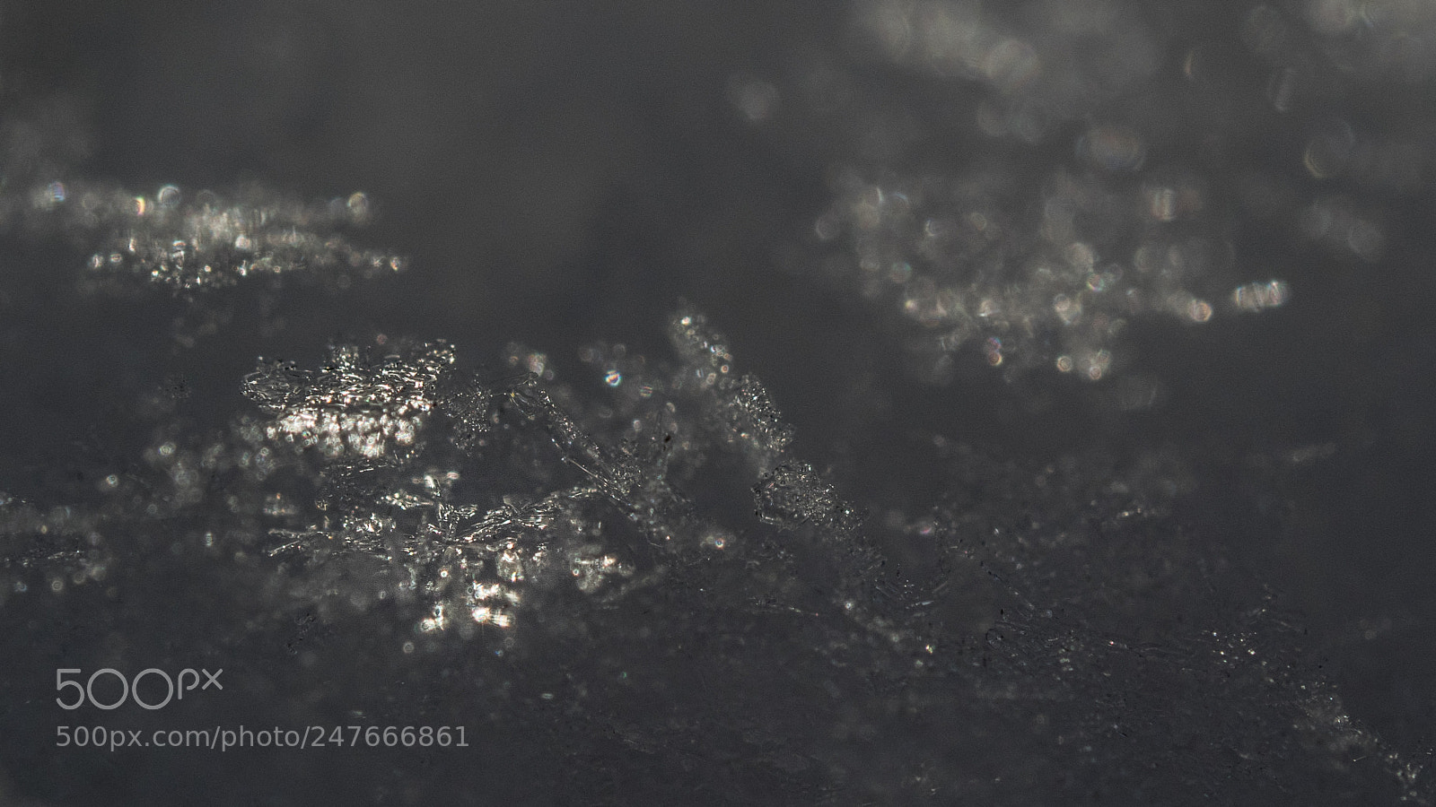Olympus OM-D E-M1 sample photo. Snow crystals 2 photography