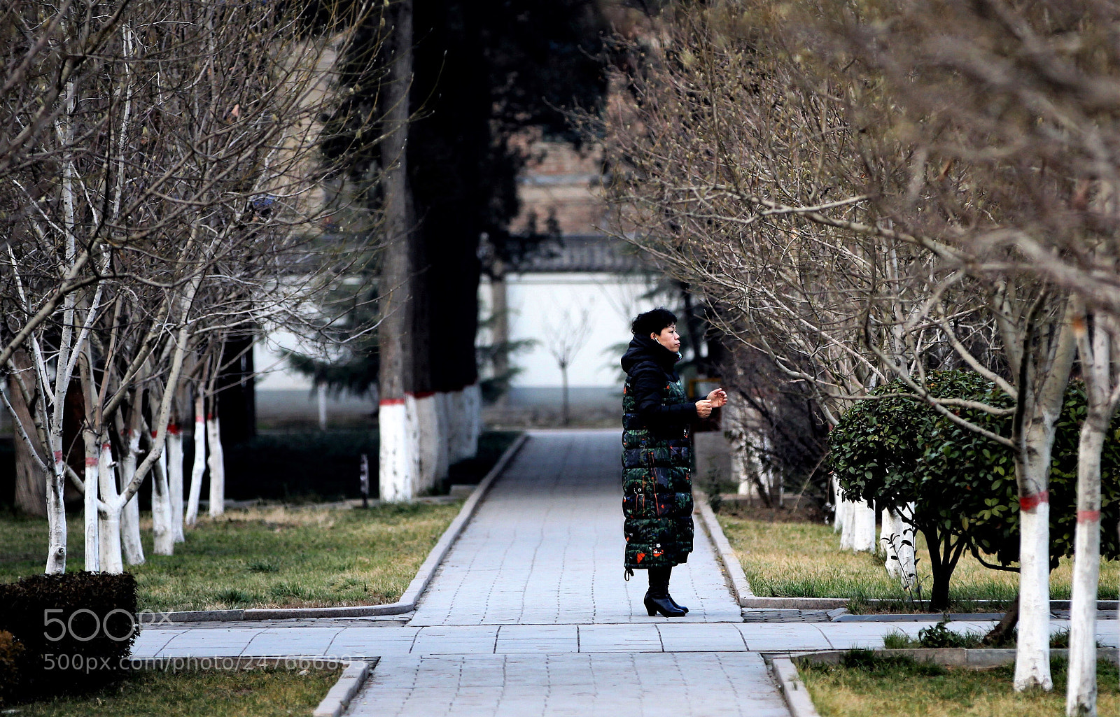 Canon EOS 50D sample photo. 孤春清寒 photography