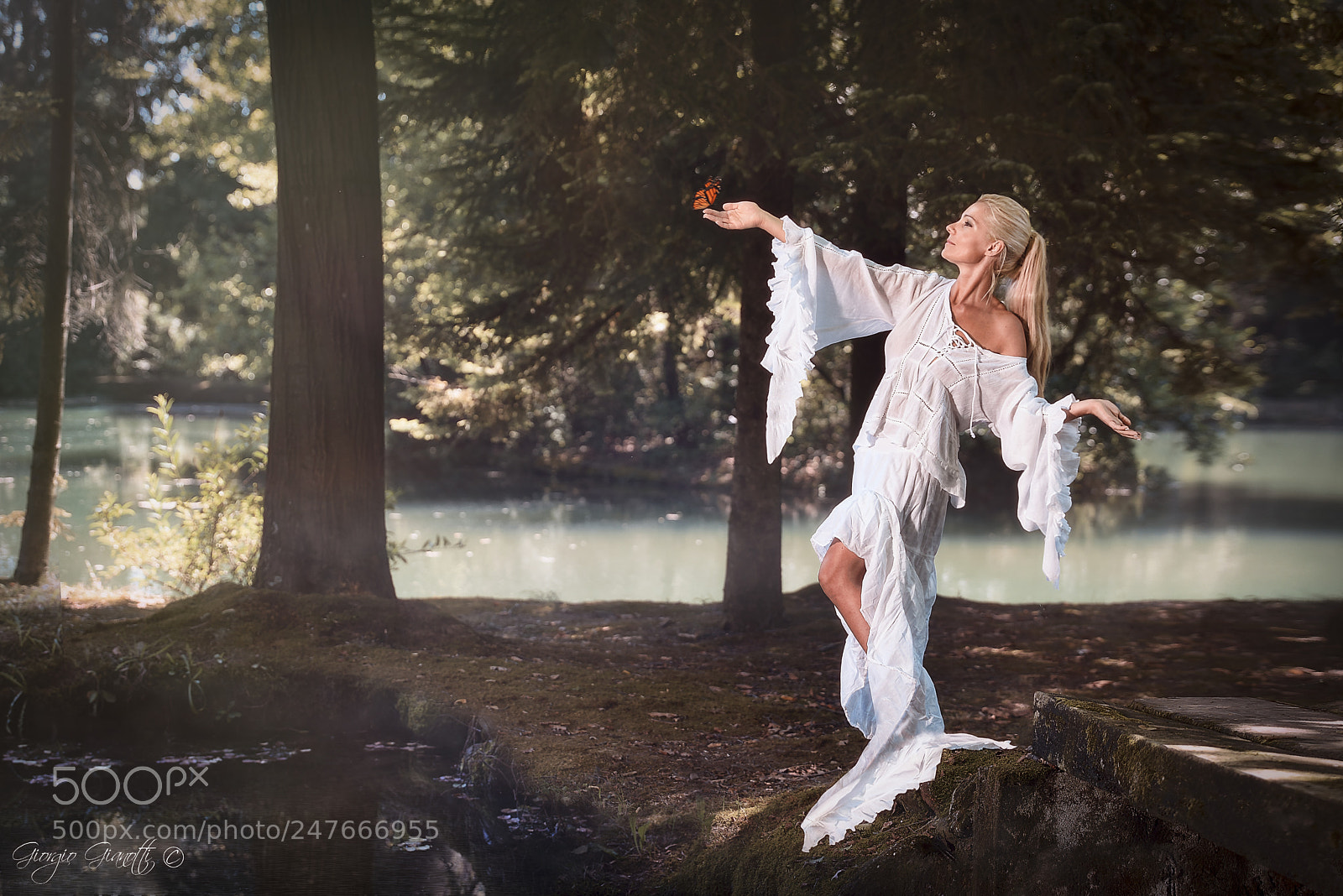Nikon D810 sample photo. 27967969060.jpg photography