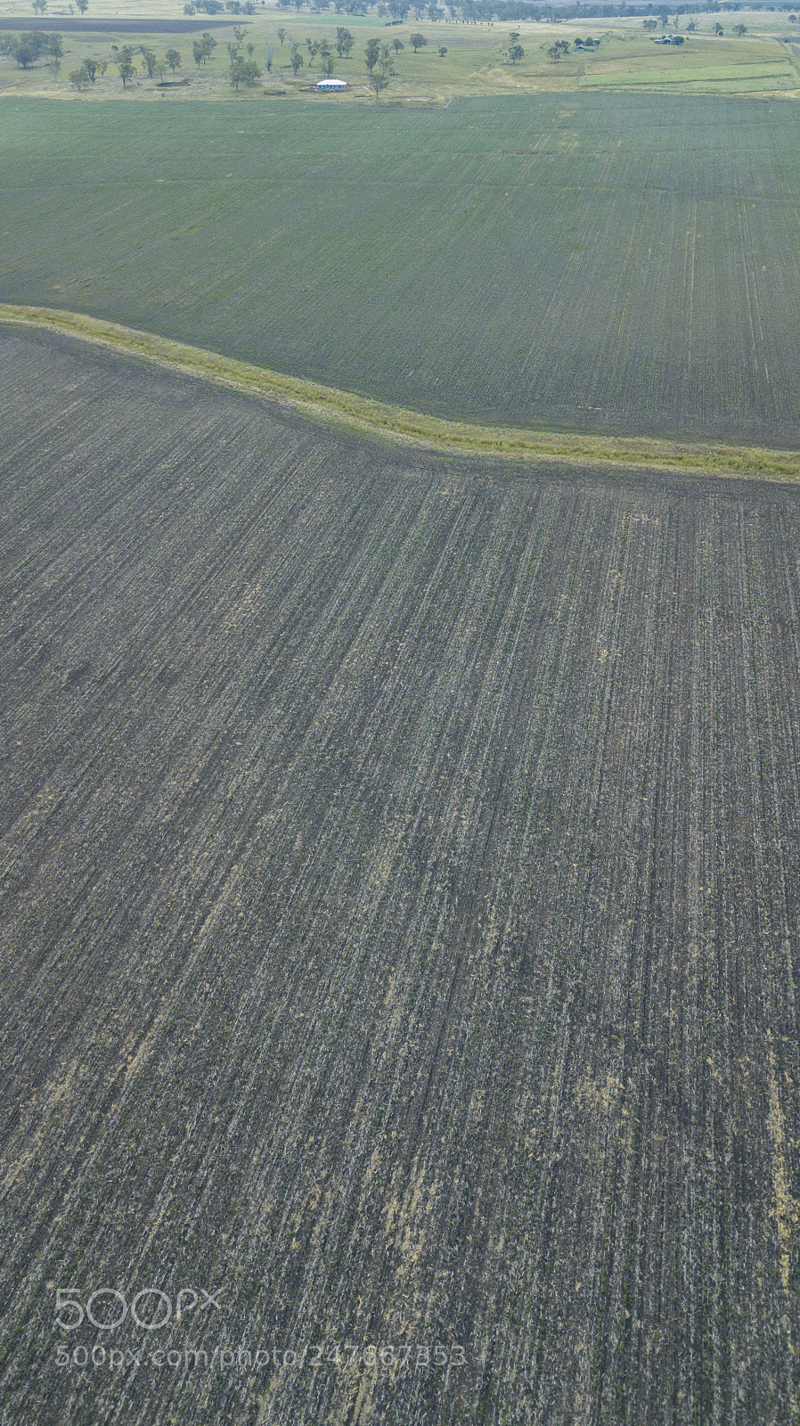 DJI FC220 sample photo. Country agricultural and farming photography