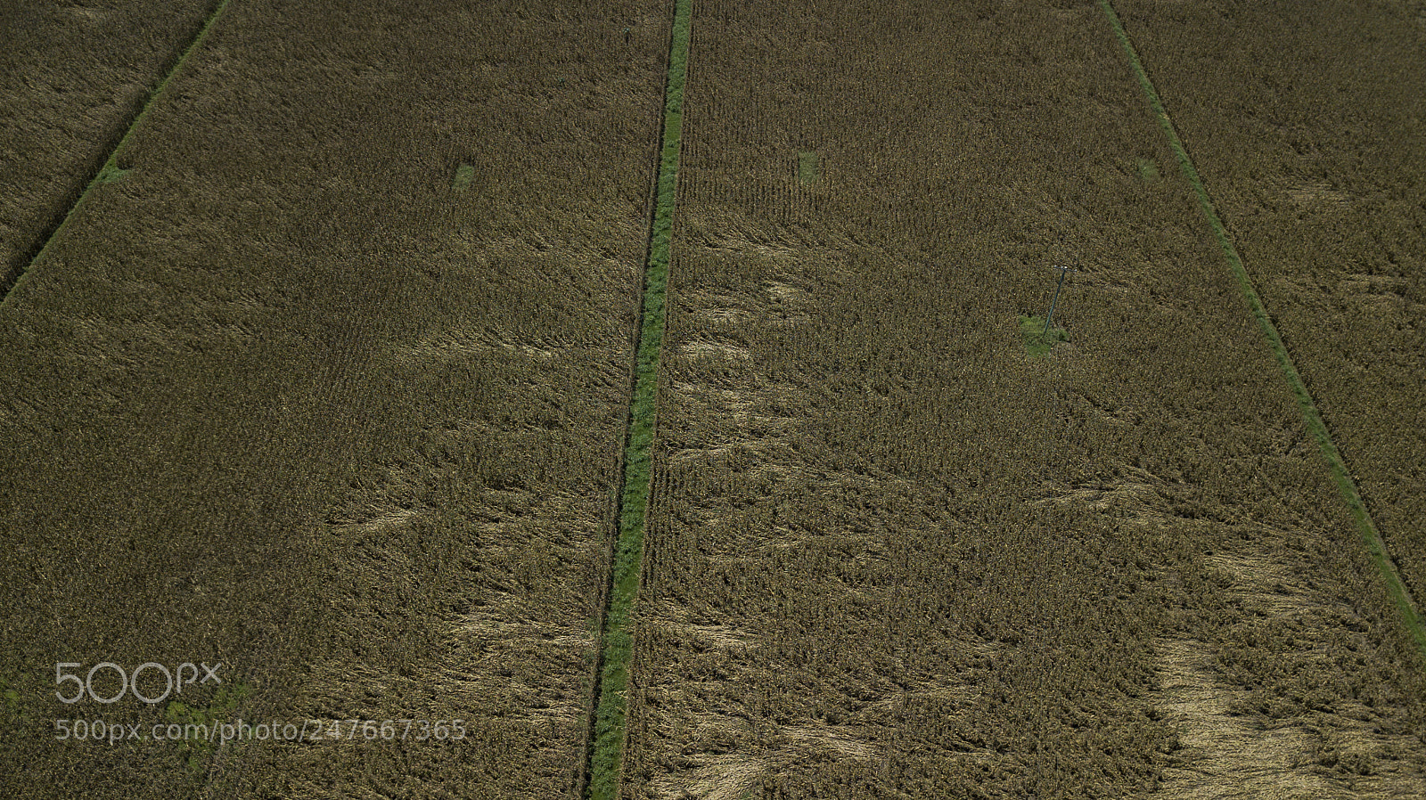 DJI FC220 sample photo. Country agricultural and farming photography