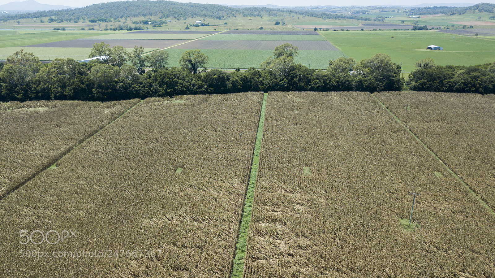 DJI FC220 sample photo. Country agricultural and farming photography