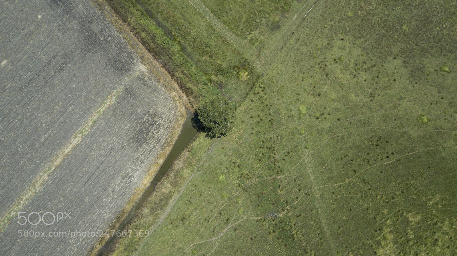DJI FC220 sample photo. Country agricultural and farming photography