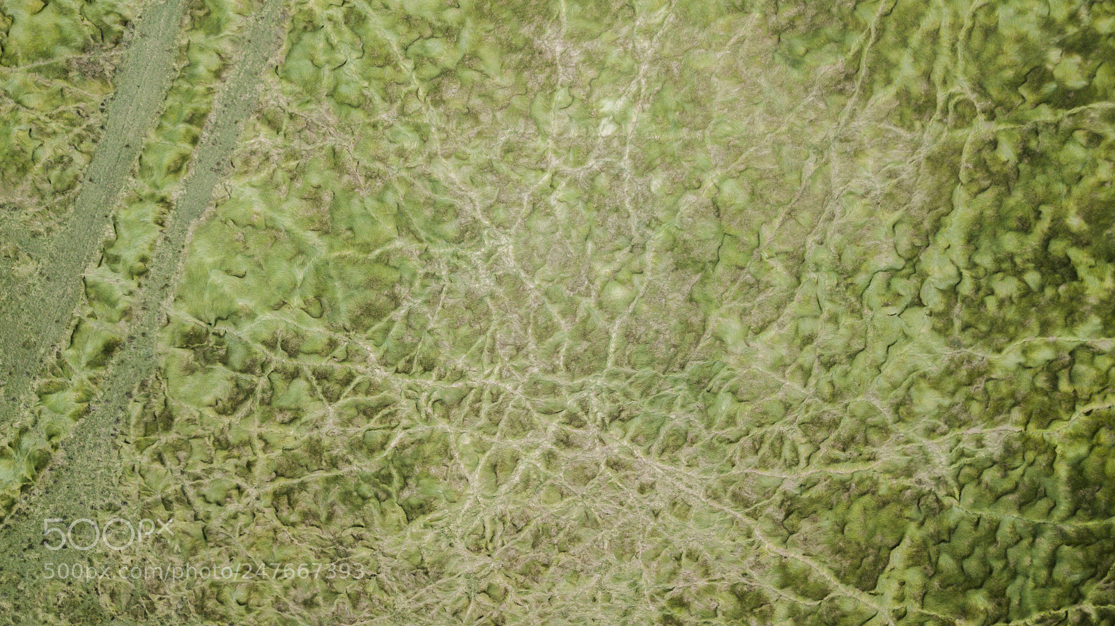 DJI FC220 sample photo. Country agricultural and farming photography