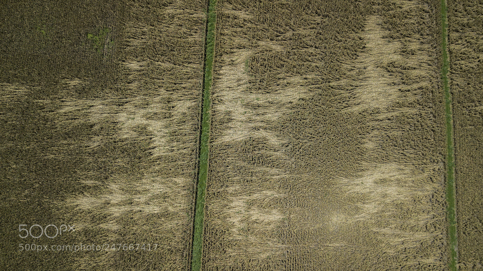 DJI FC220 sample photo. Country agricultural and farming photography