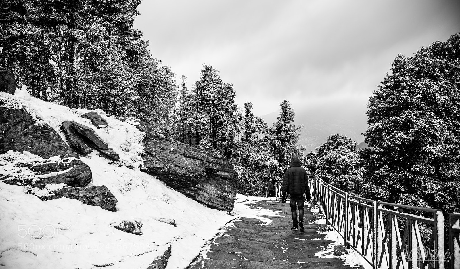 Nikon D810 sample photo. Go photography