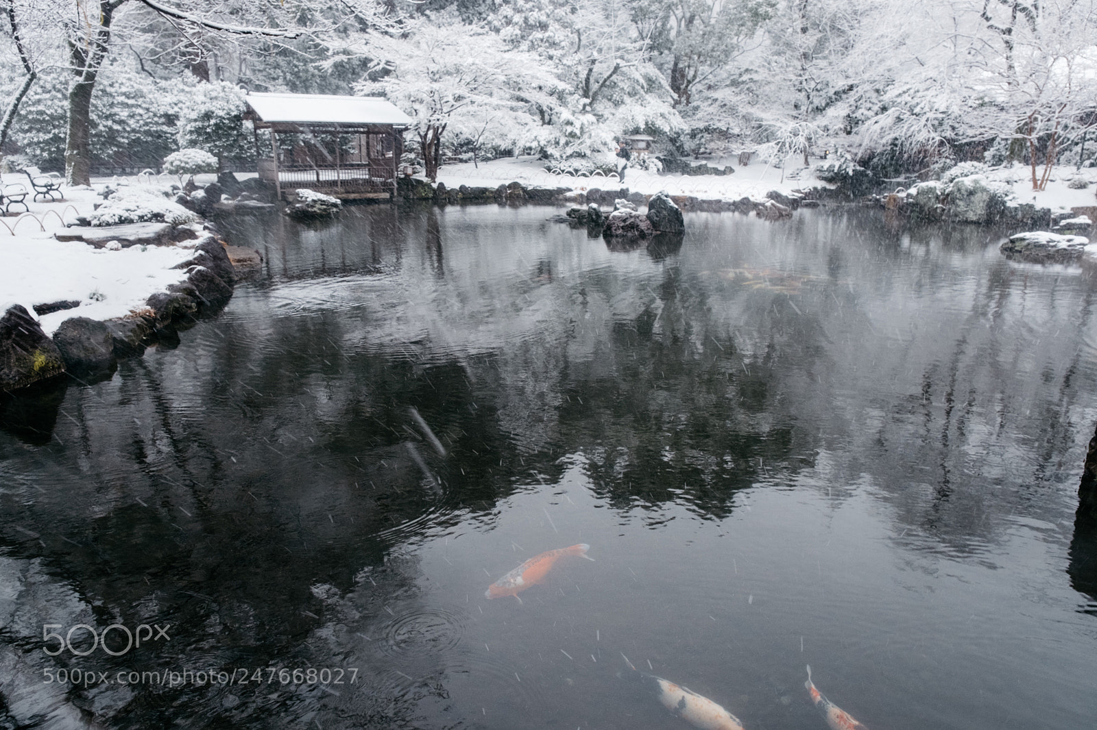 Fujifilm X-Pro2 sample photo. A snowy day photography