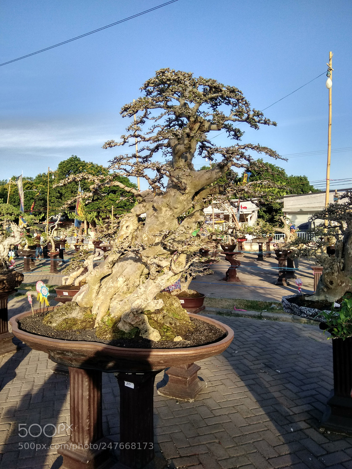 Xiaomi Redmi Note 4X sample photo. Hdr photography
