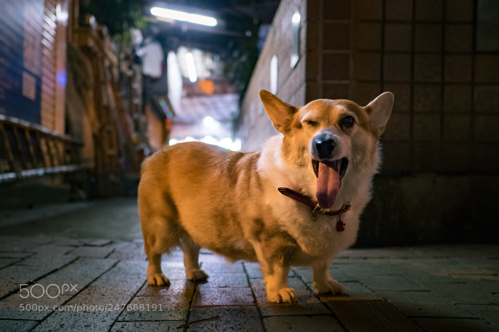 Sony a6300 sample photo. Say cheese photography