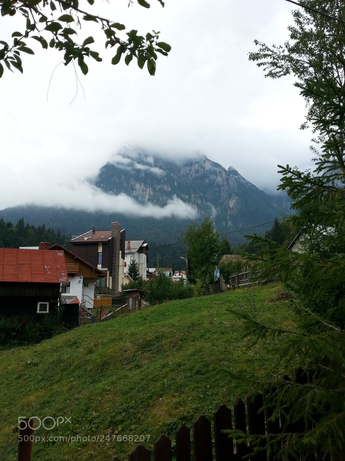 Samsung Galaxy S3 sample photo. 14# photography