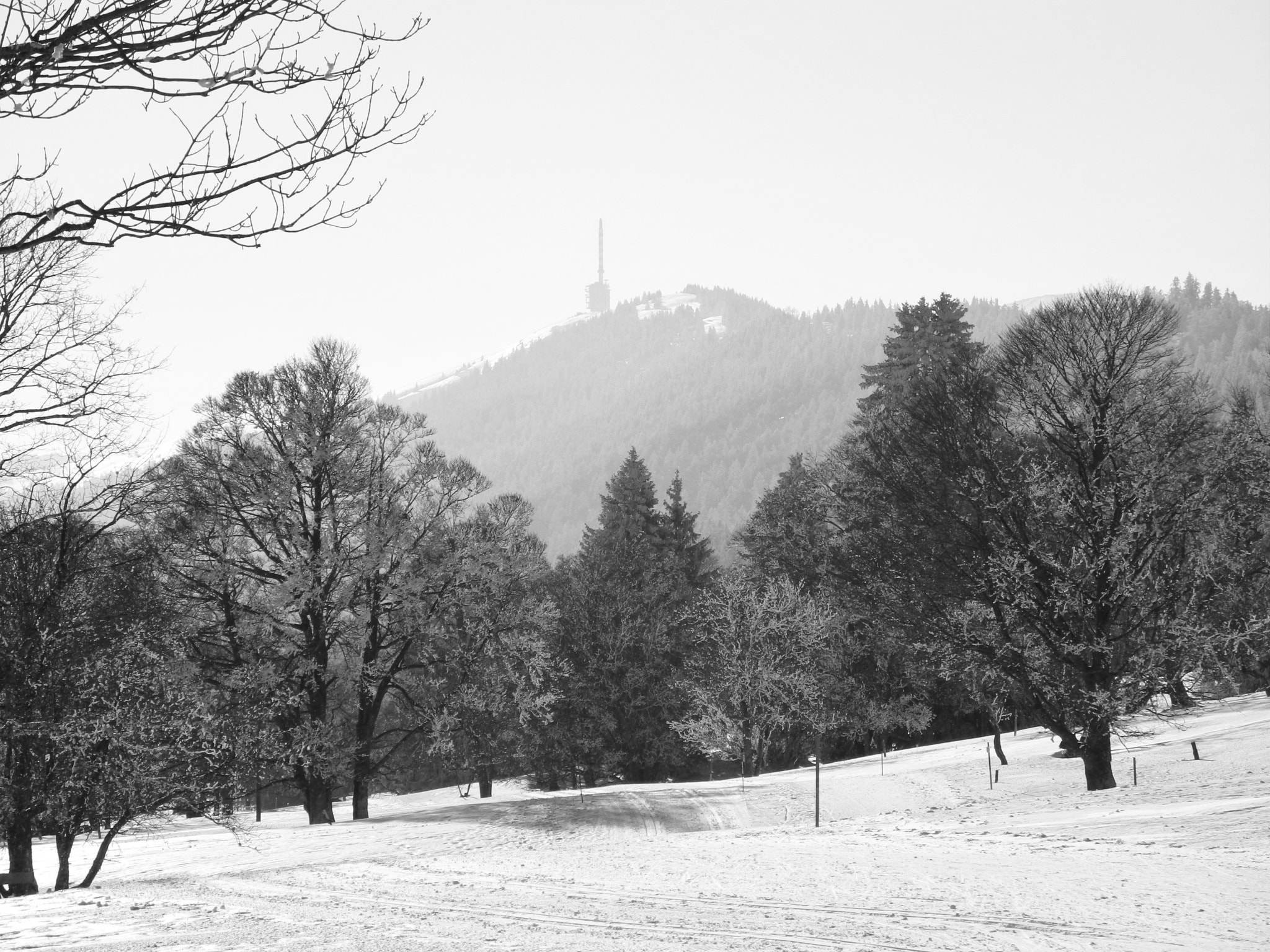 Nikon Coolpix P7100 sample photo. Chasseral photography