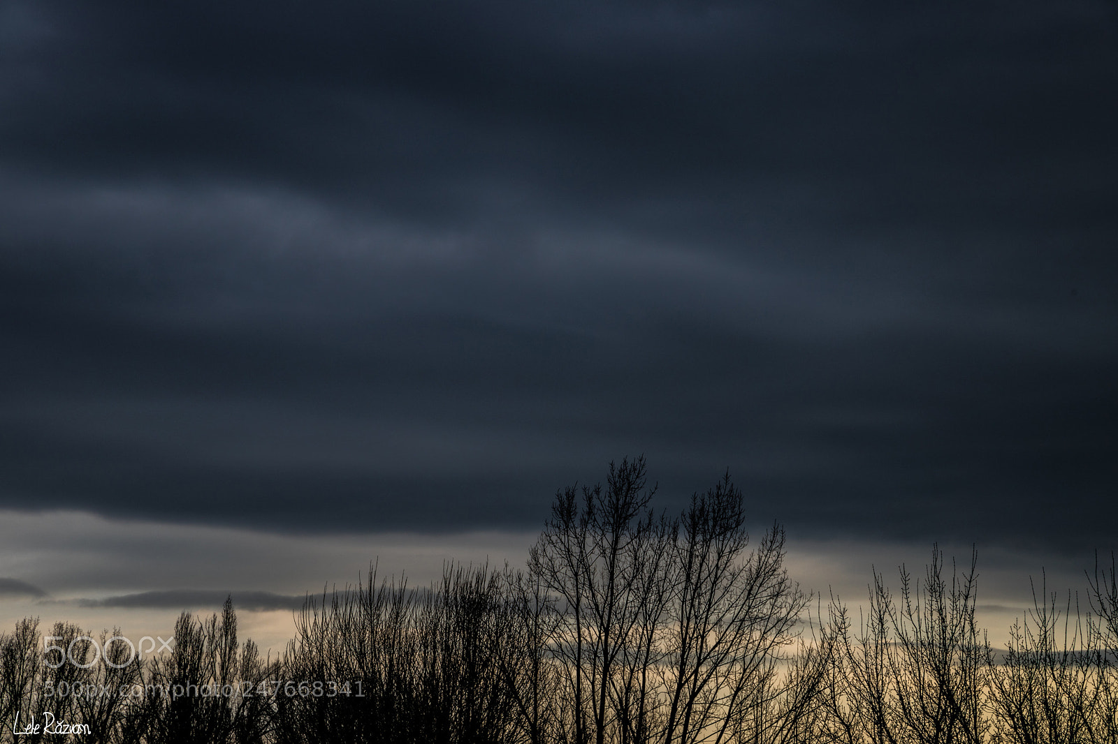 Canon EOS 6D Mark II sample photo. Untitled photography