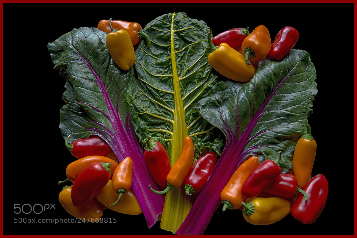 Nikon D810 sample photo. Rainbow chard and bell photography