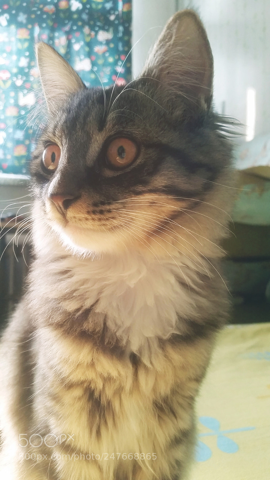 Samsung Galaxy S5 sample photo. What are you thinking photography