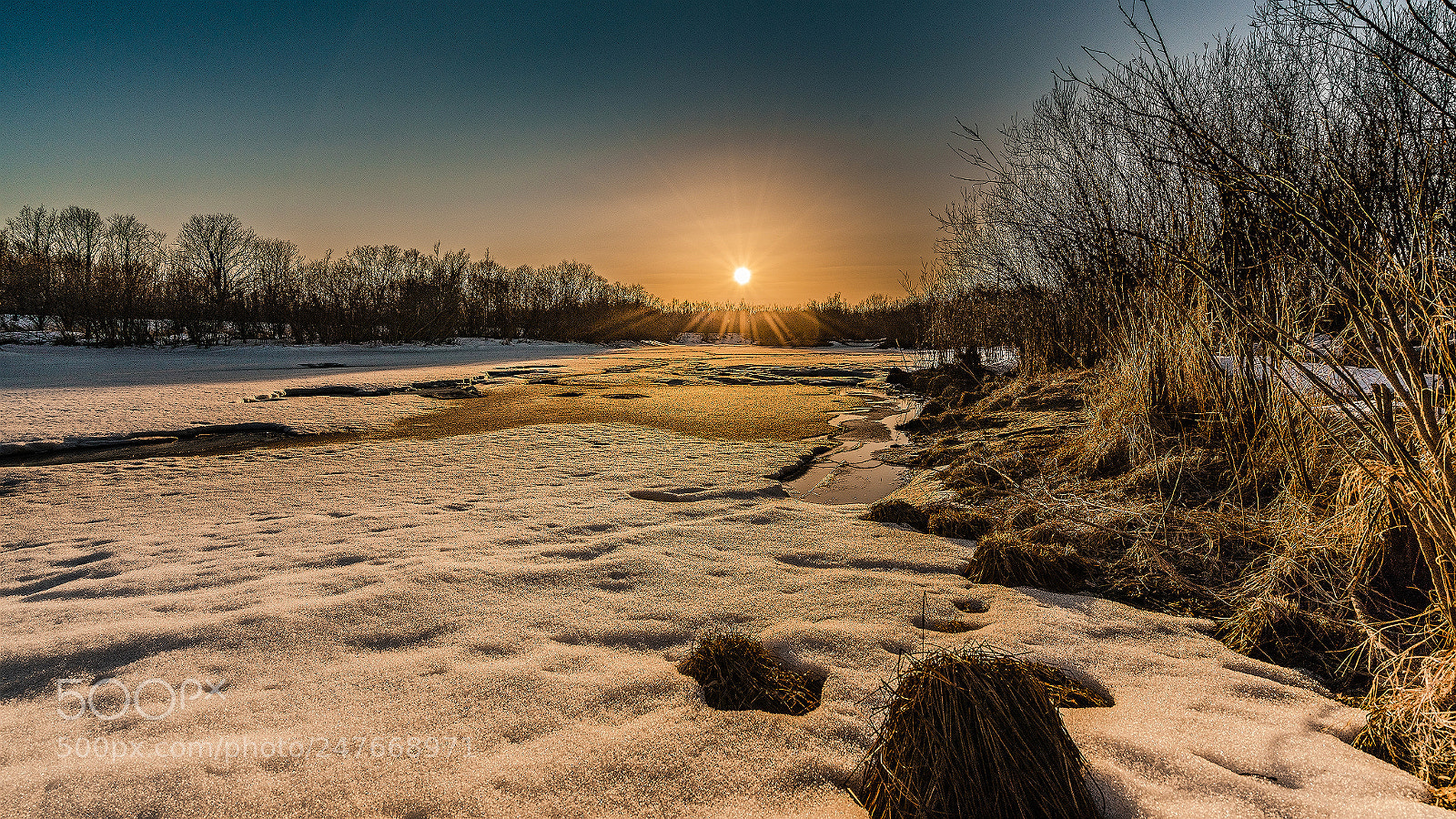 Sony a7R II sample photo. Забереги. photography