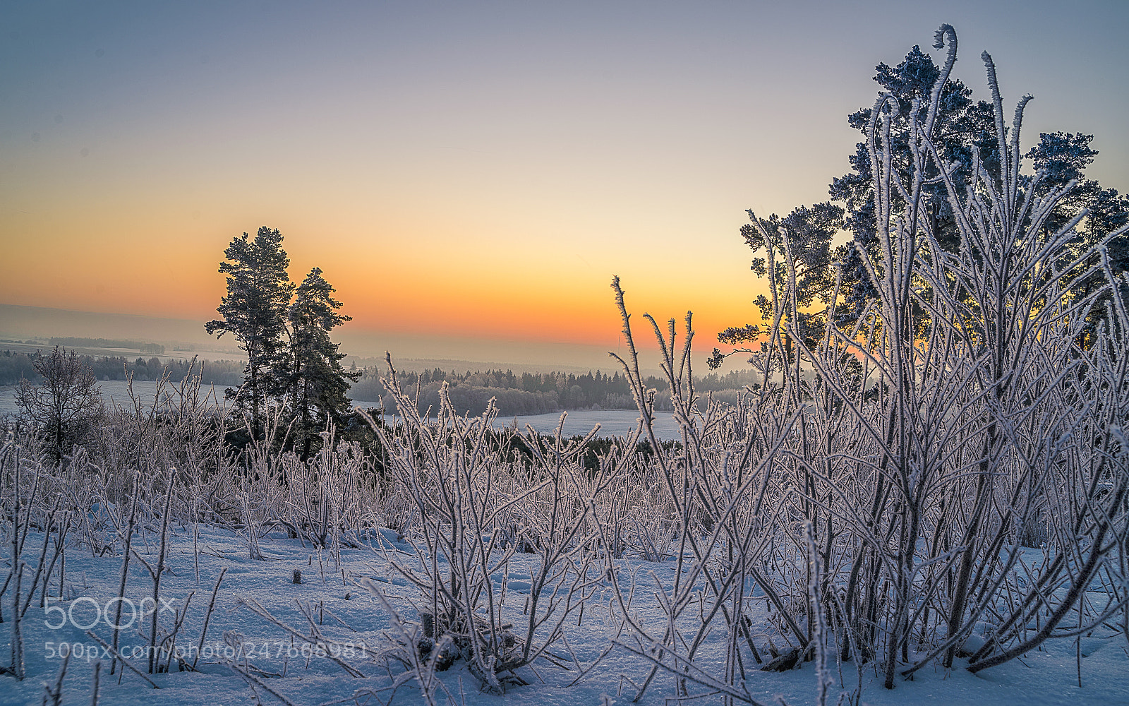 Nikon D610 sample photo. Early morning photography