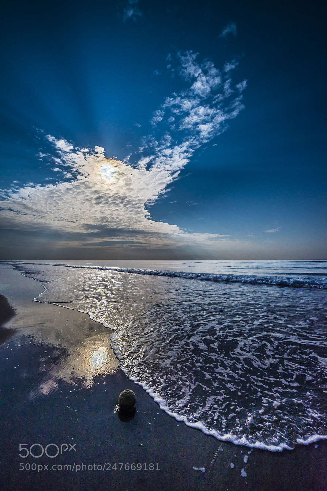 Nikon D800 sample photo. Morning sun photography