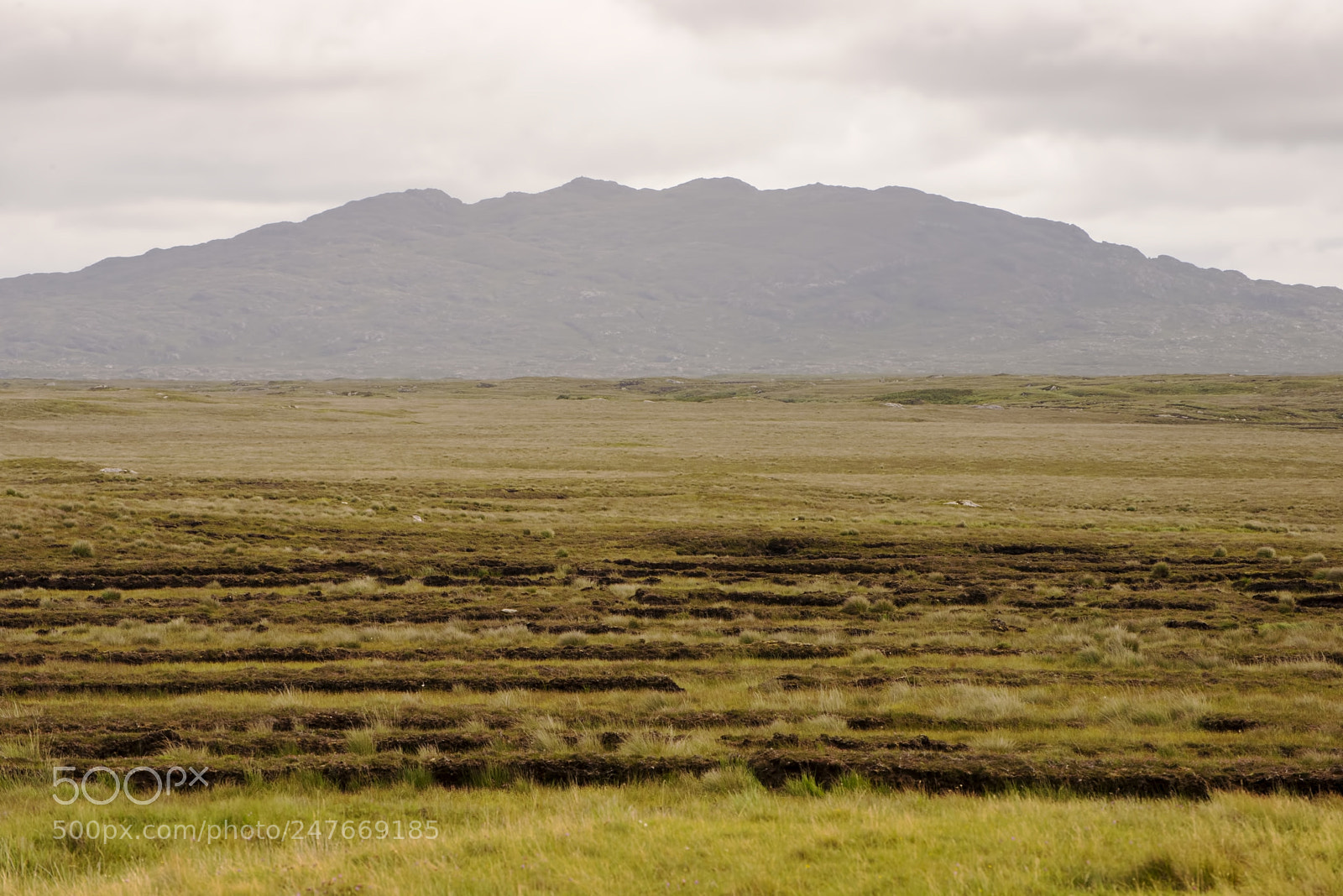 Nikon D600 sample photo. Peat bog view (1) photography