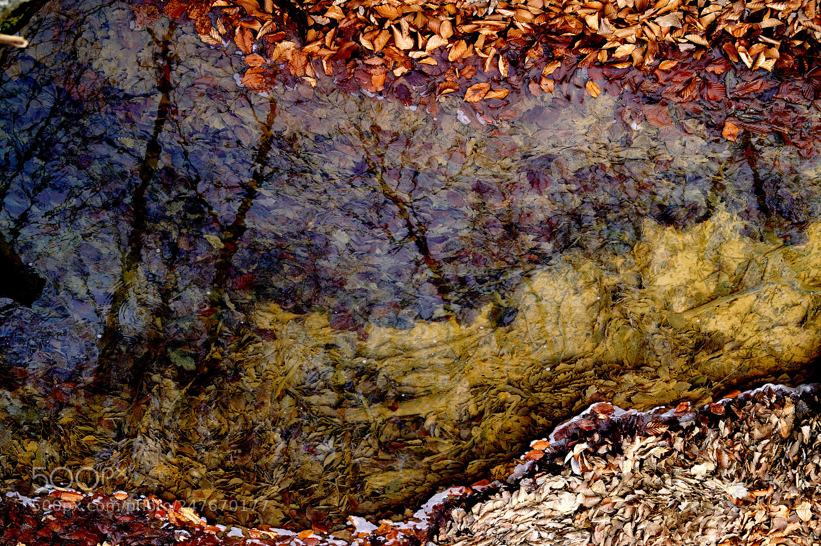 Sony SLT-A58 sample photo. () photography