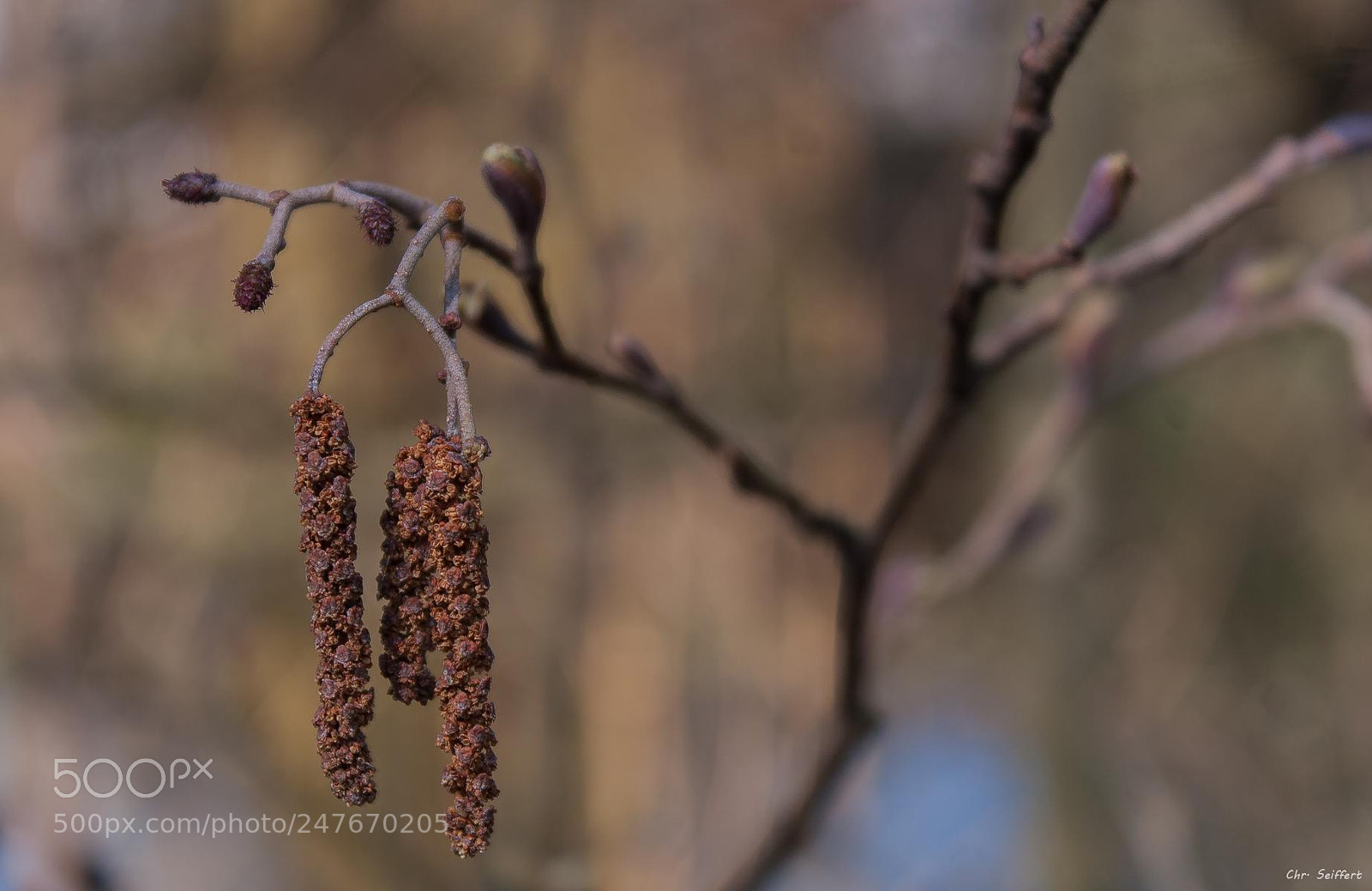 Canon EOS 20D sample photo. How lovely the silence photography