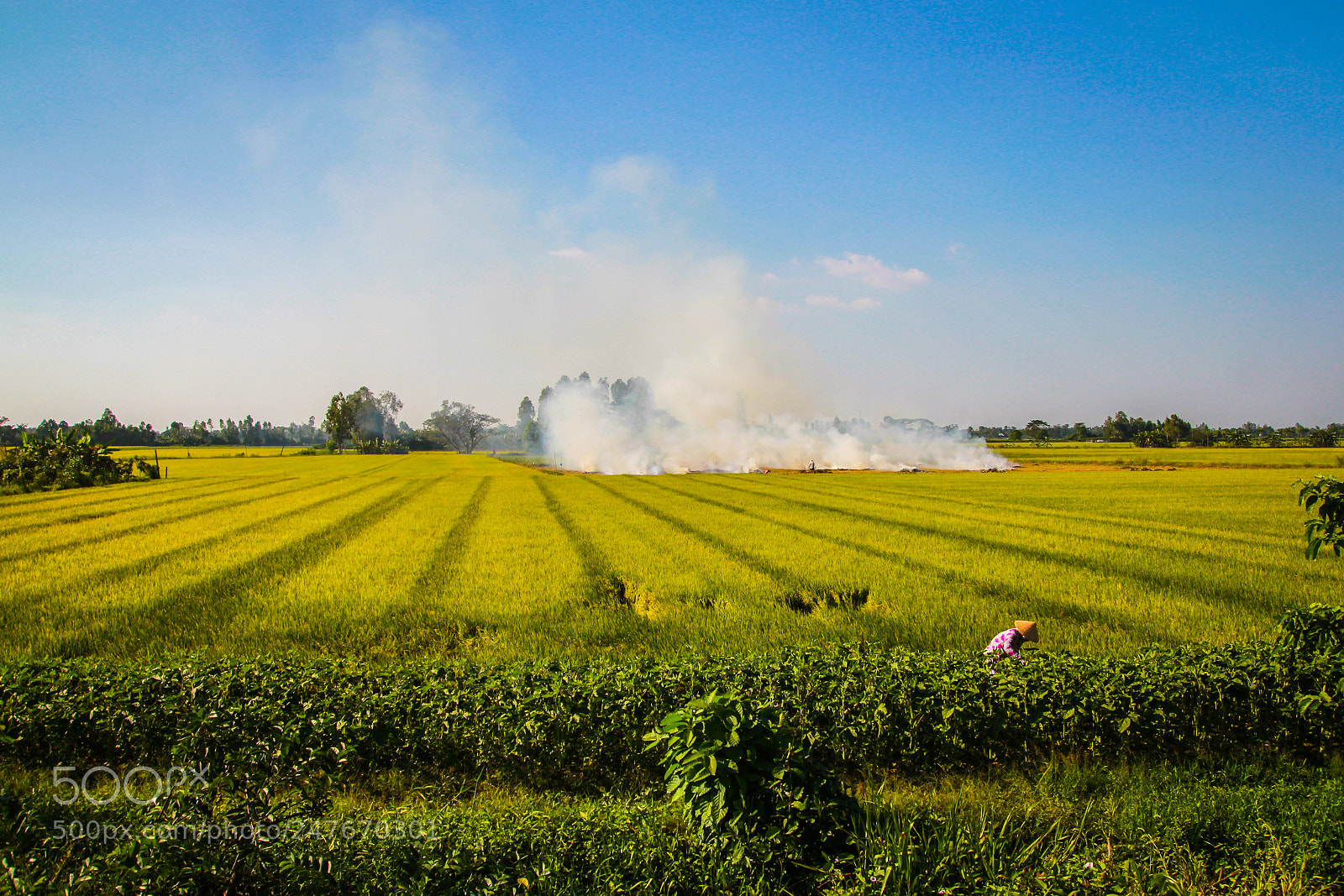 Canon EOS 60D sample photo. An giang iii photography
