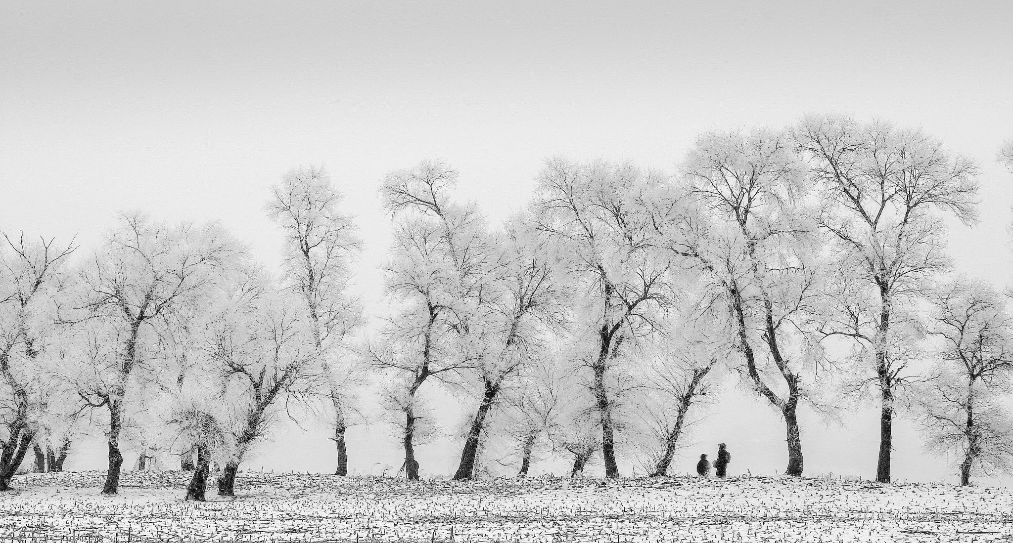 旅行的锅(vcg-036c01d464b55b60d09f6b326f3f42789) Profile / 500px