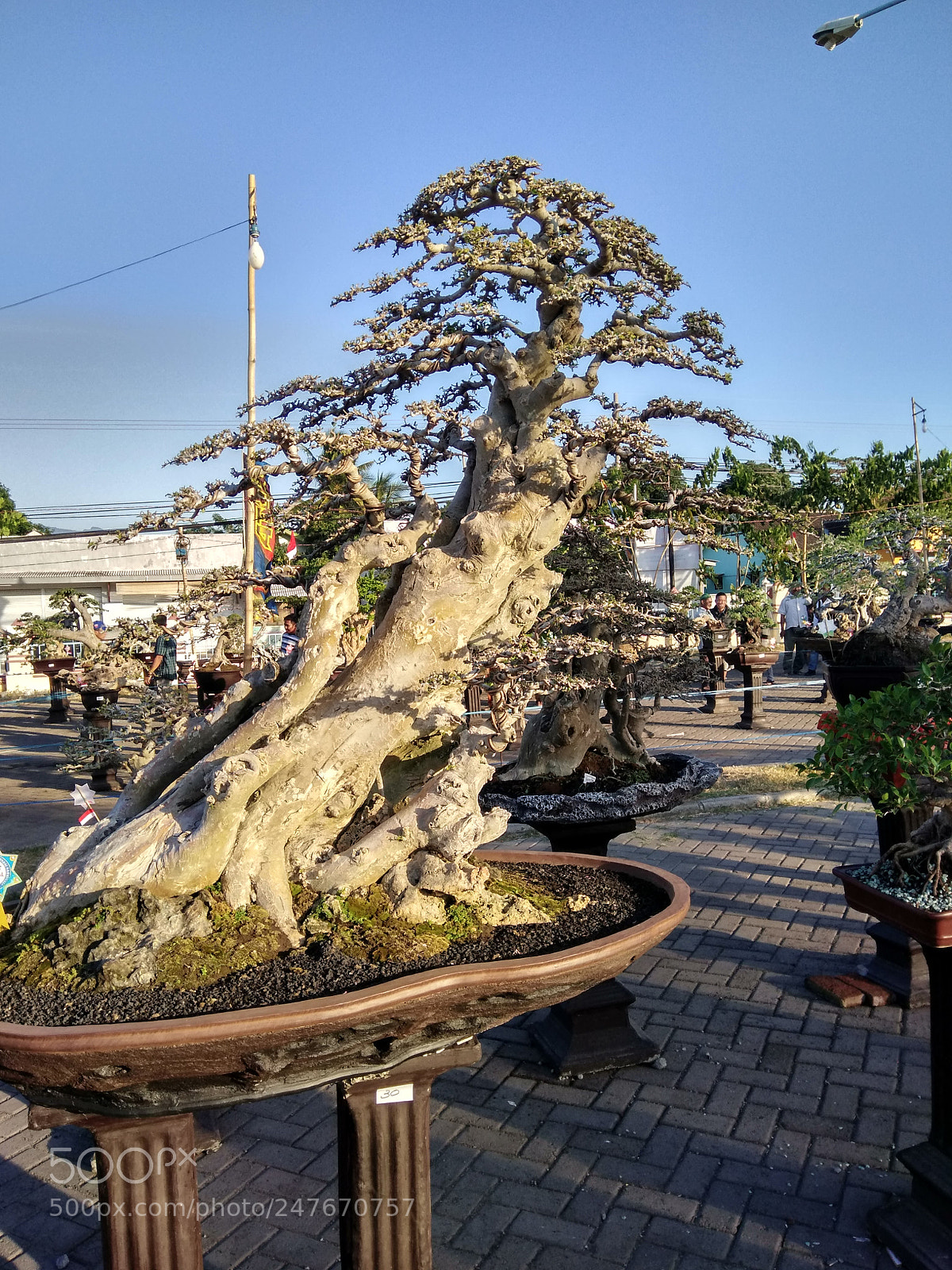 Xiaomi Redmi Note 4X sample photo. Hdr photography